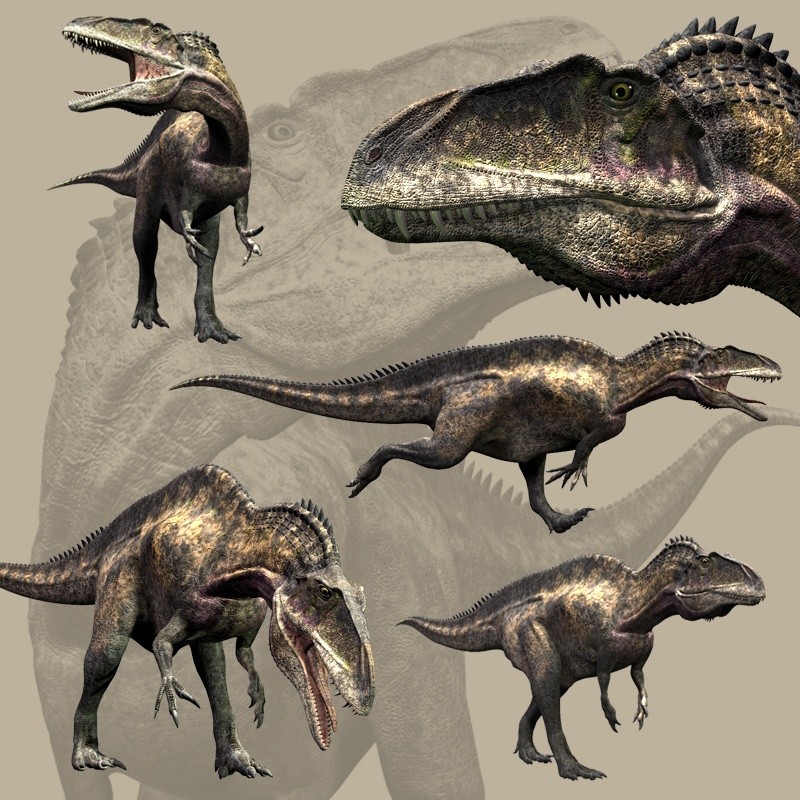 AcrocanthosaurusDR by N/A