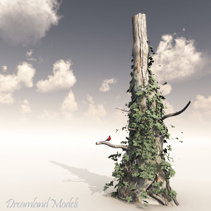 Tree Two by N/A