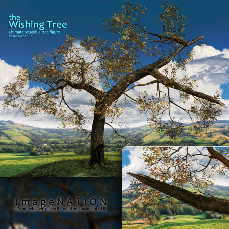 the Wishing Tree by N/A