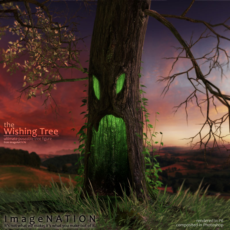 the Wishing Tree by N/A