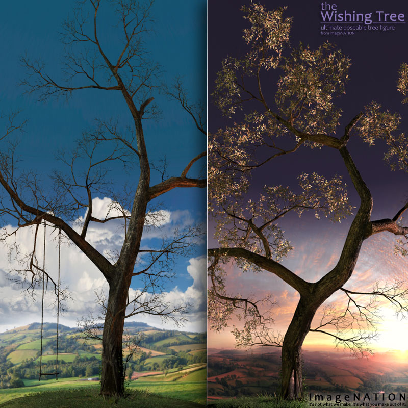 the Wishing Tree by N/A