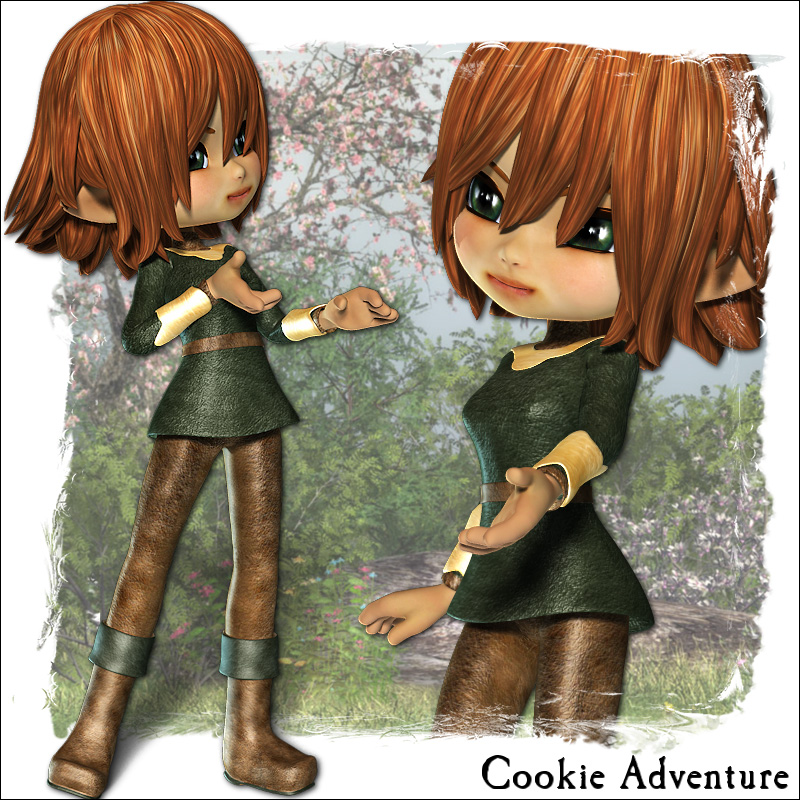 Cookie Adventure by N/A