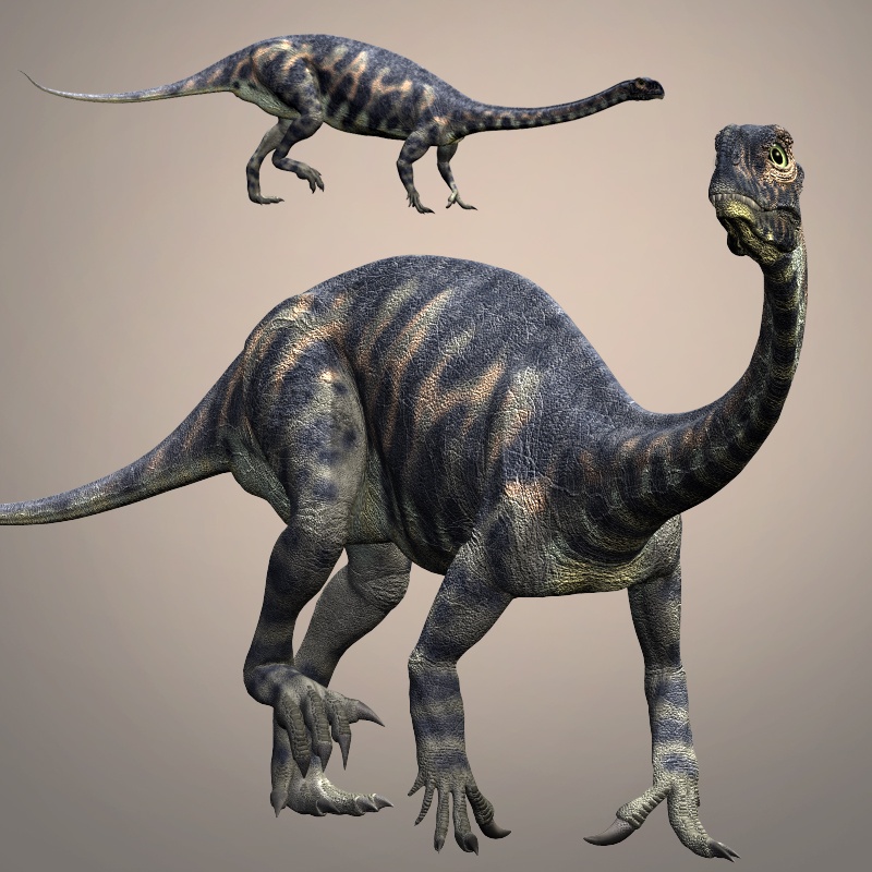 MassospondylusDR by N/A