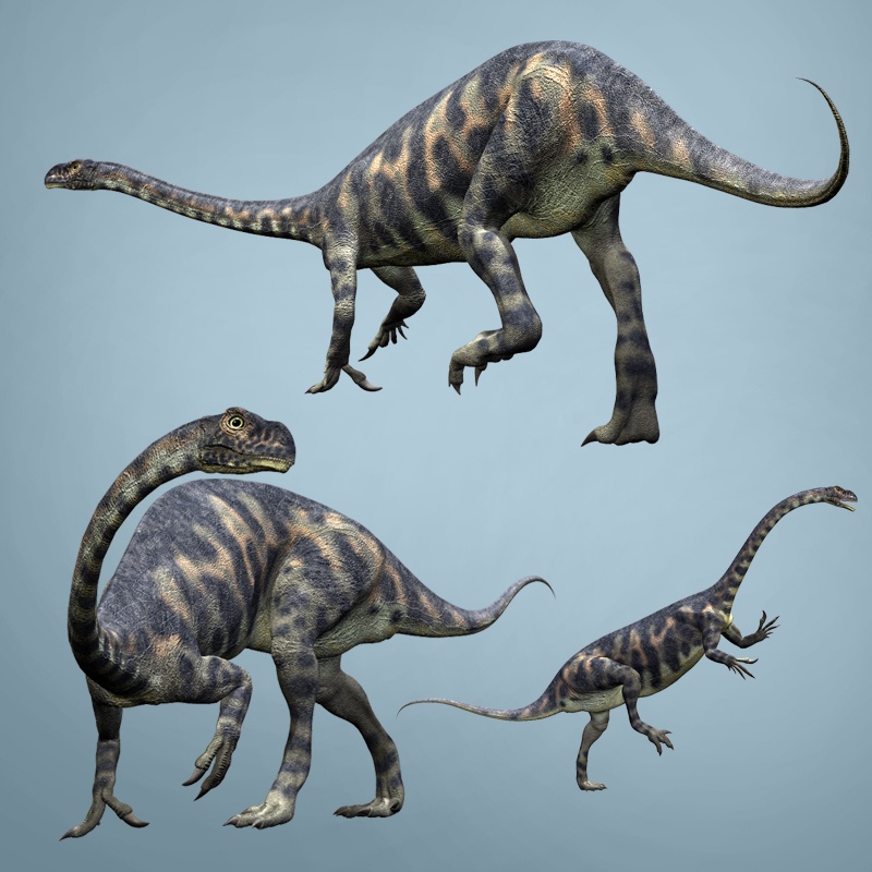 MassospondylusDR by N/A