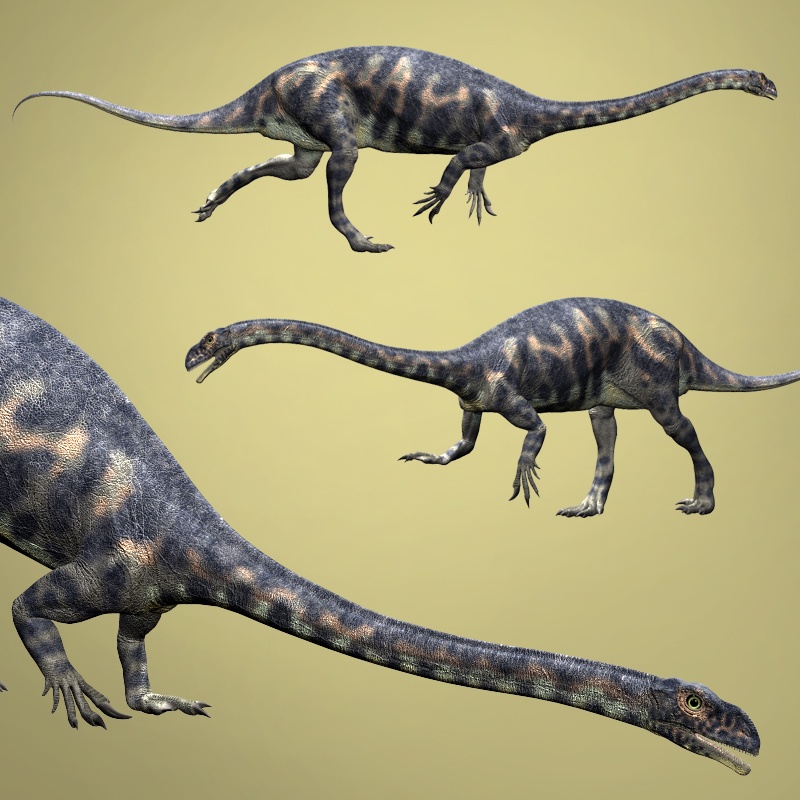 MassospondylusDR by N/A