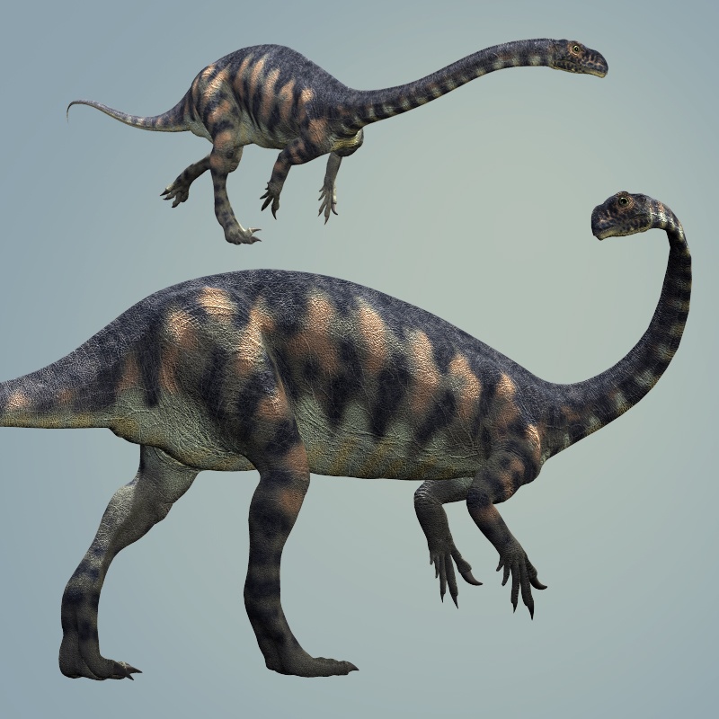 MassospondylusDR by N/A