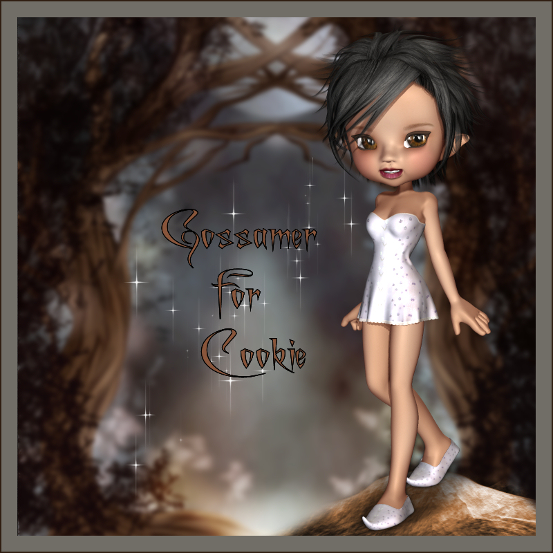 Gossamer For Cookie by N/A