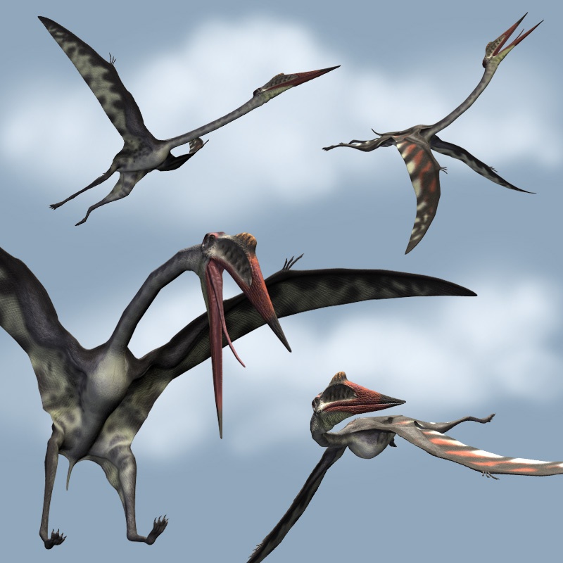 QuetzalcoatlusDR by N/A