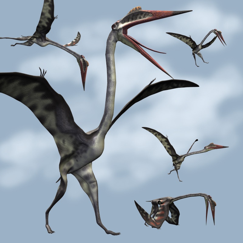QuetzalcoatlusDR by N/A