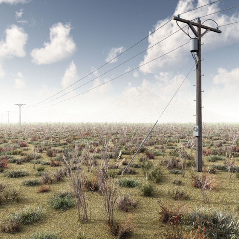 Power Lines and Poles by N/A