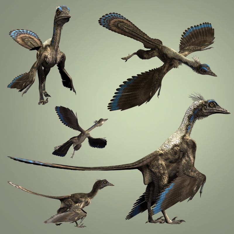 ArchaeopteryxDR by N/A