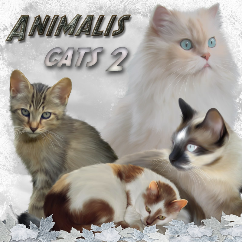 ANIMALIS - Cats 2 by N/A