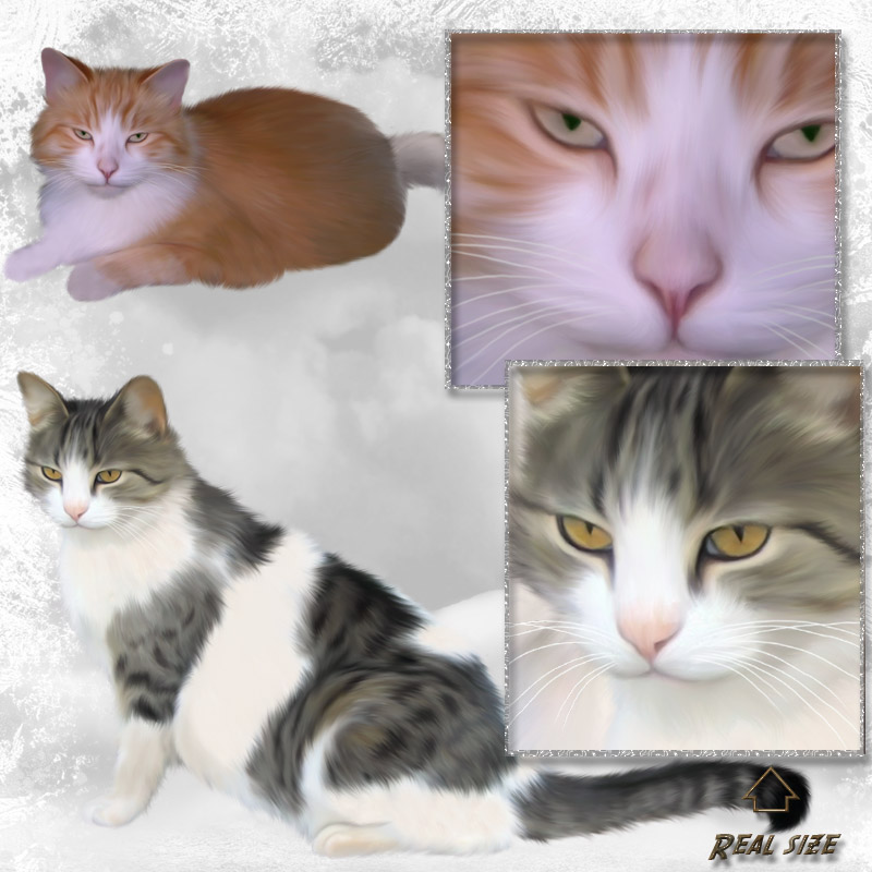 ANIMALIS - Cats 2 by N/A