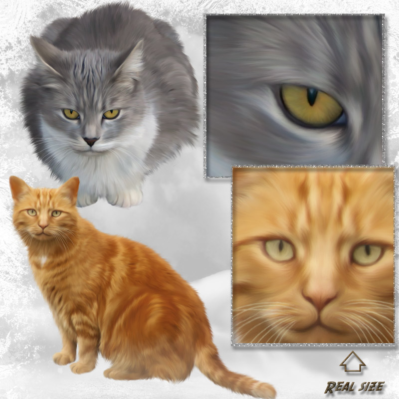 ANIMALIS - Cats 2 by N/A