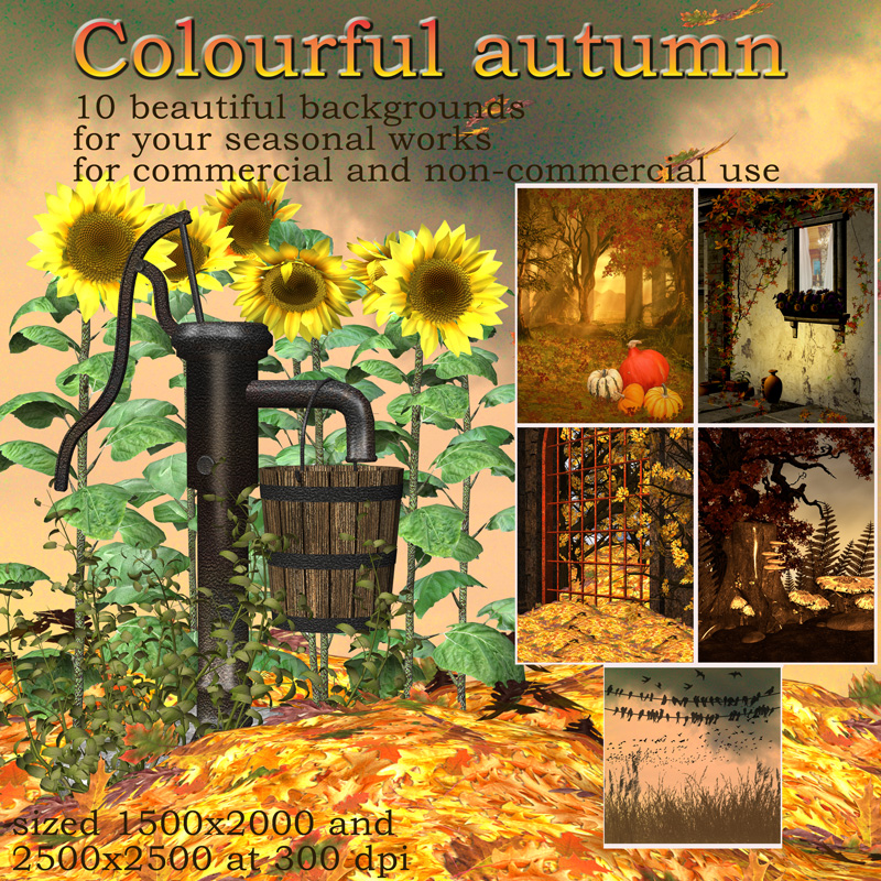 Colourful autumn by N/A