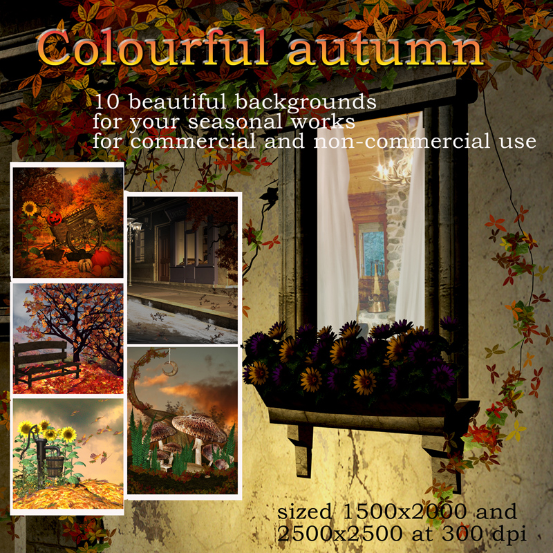 Colourful autumn by N/A