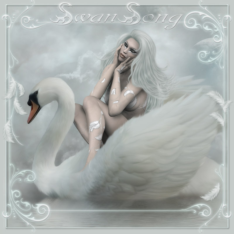 Swan Song by N/A