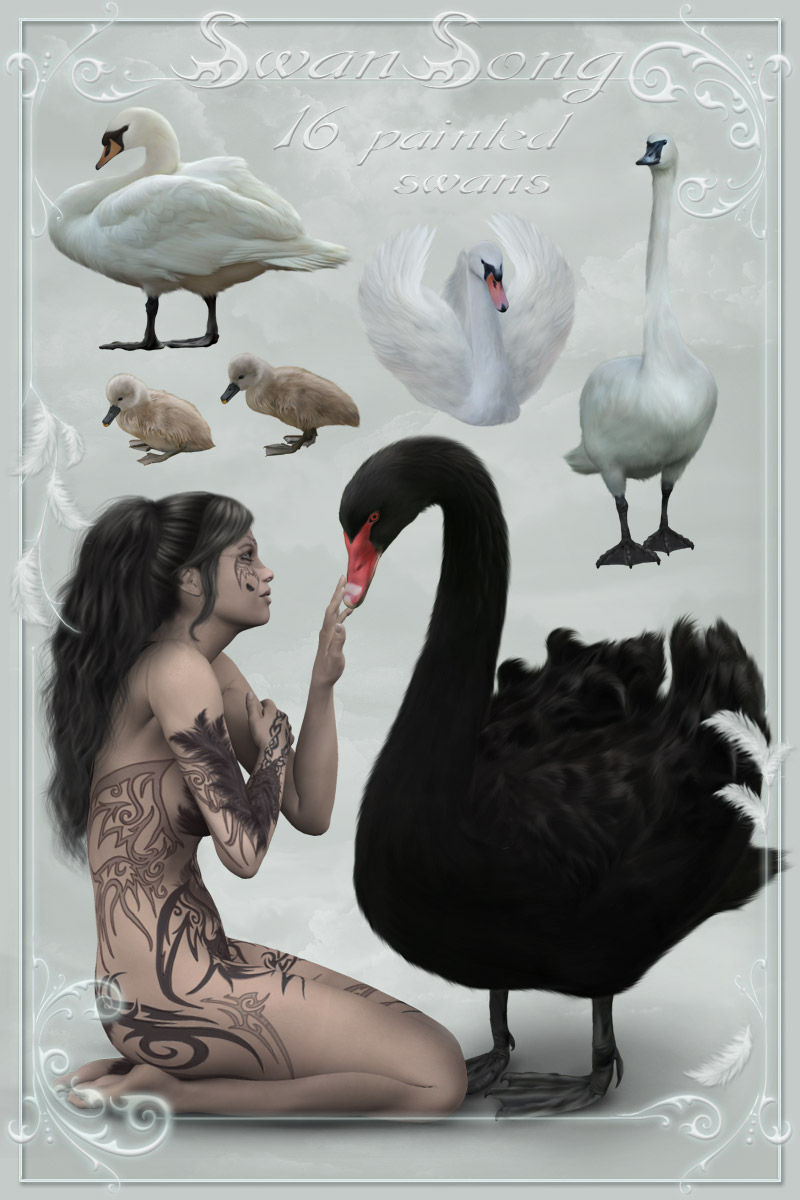 Swan Song by N/A