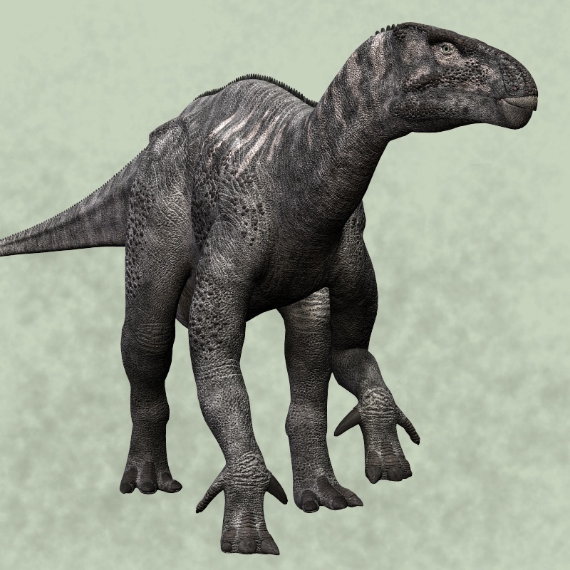 IguanodonDR by N/A
