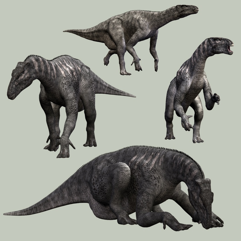 IguanodonDR by N/A