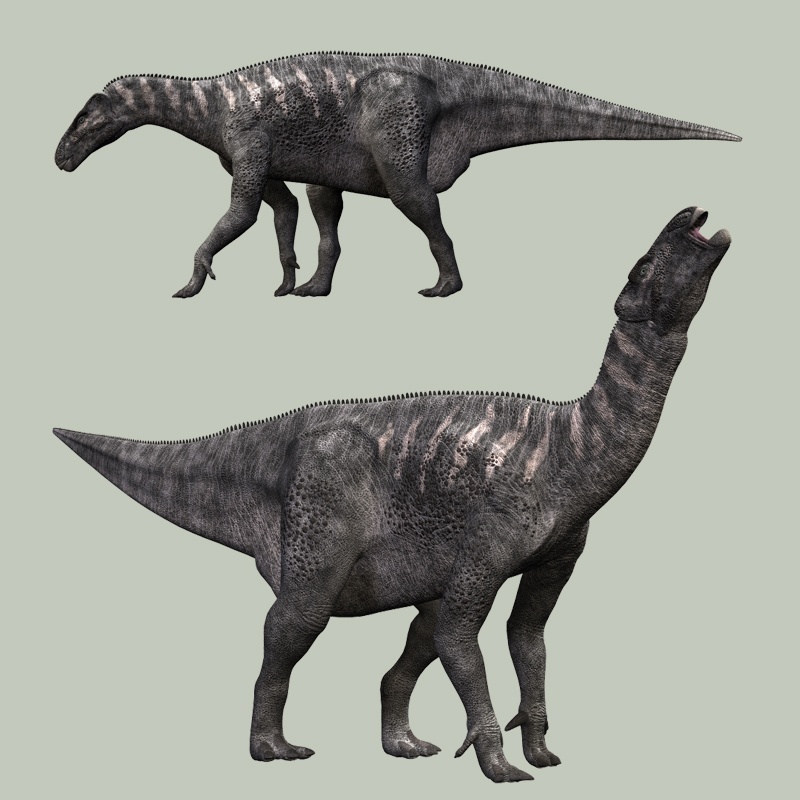 IguanodonDR by N/A