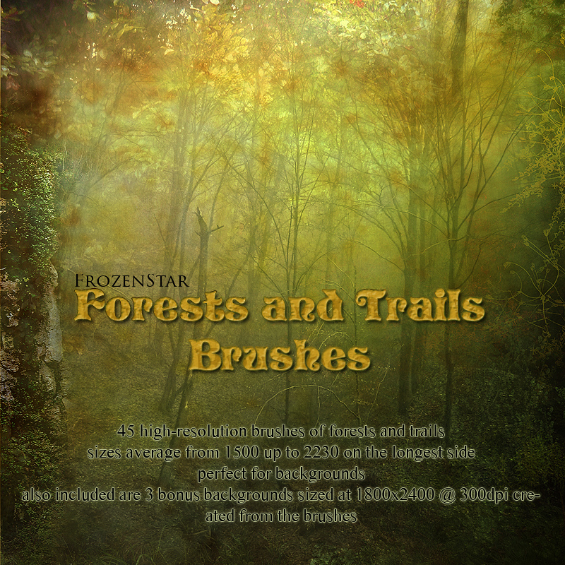 FS Forests and Trails Brushes by N/A