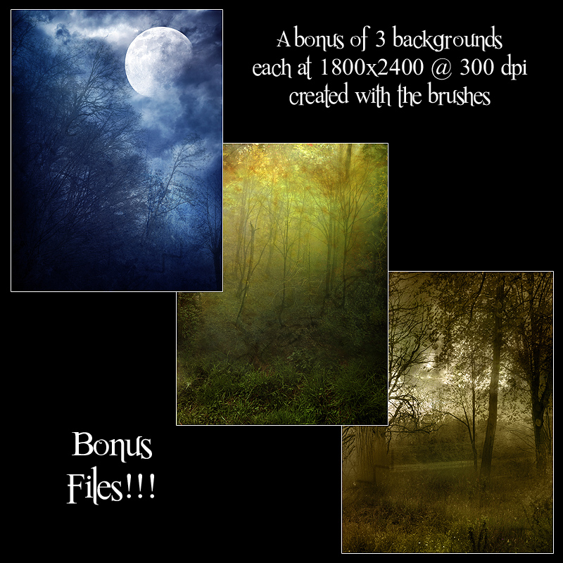 FS Forests and Trails Brushes by N/A