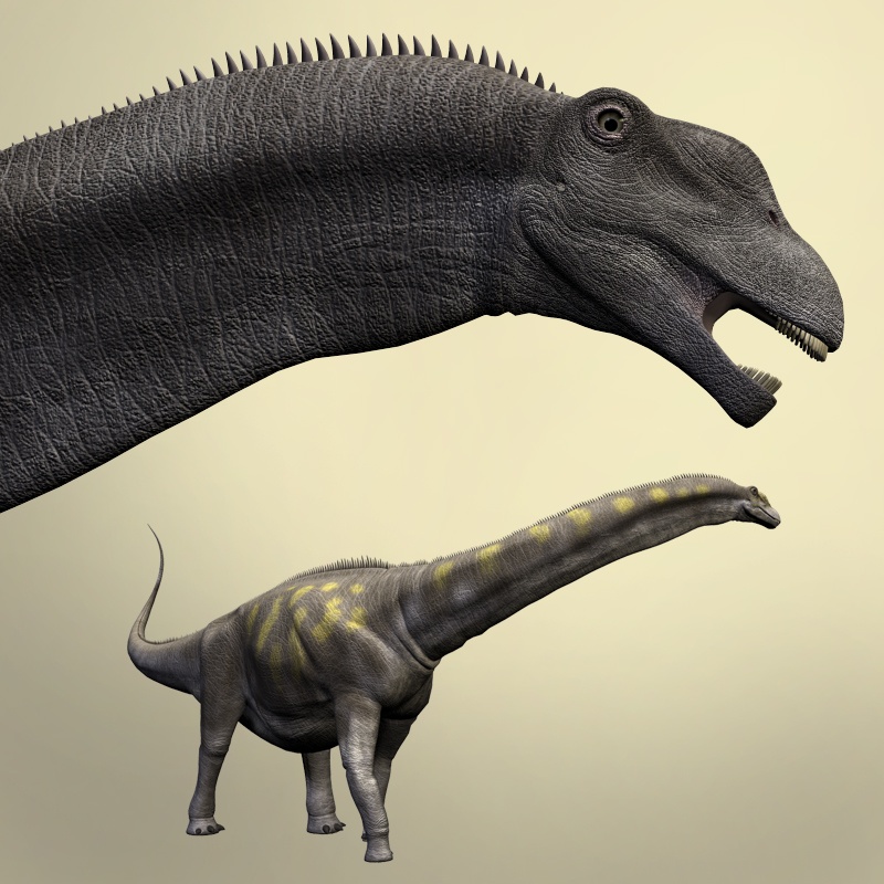 ArgentinosaurusDR by N/A