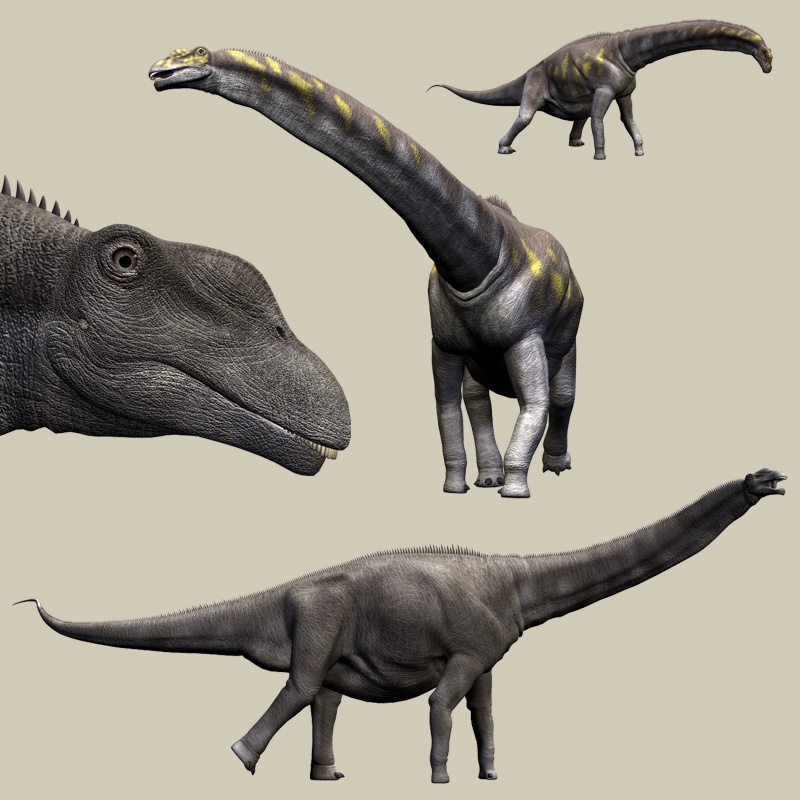 ArgentinosaurusDR by N/A