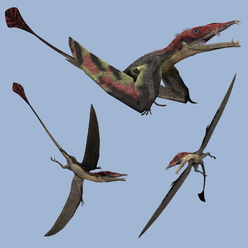 EudimorphodonDR by N/A