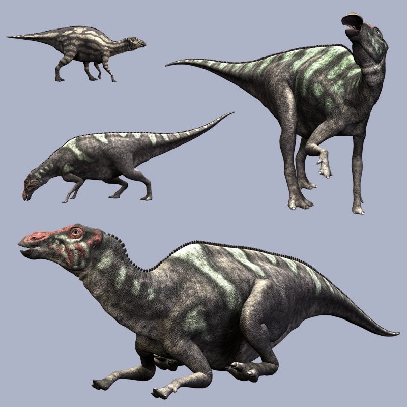 MaiasauraDR by N/A