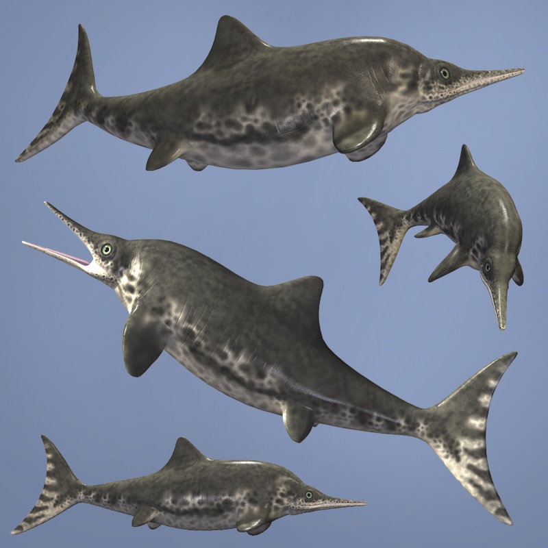 StenopterygiusDR by N/A