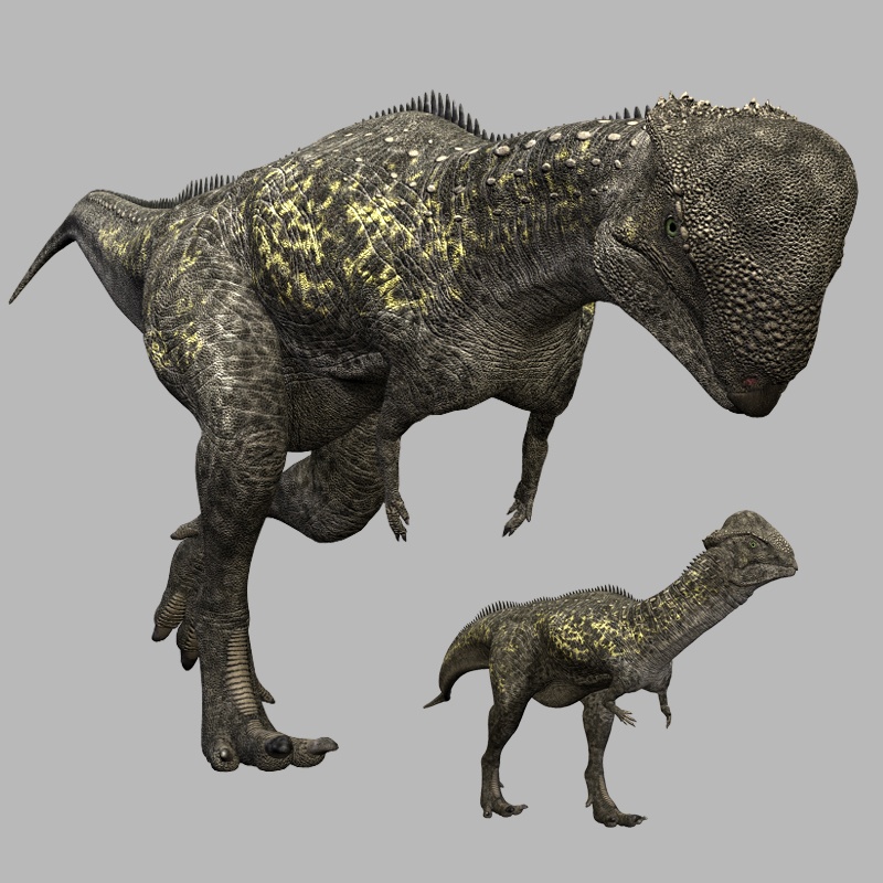 StegocerasDR by N/A