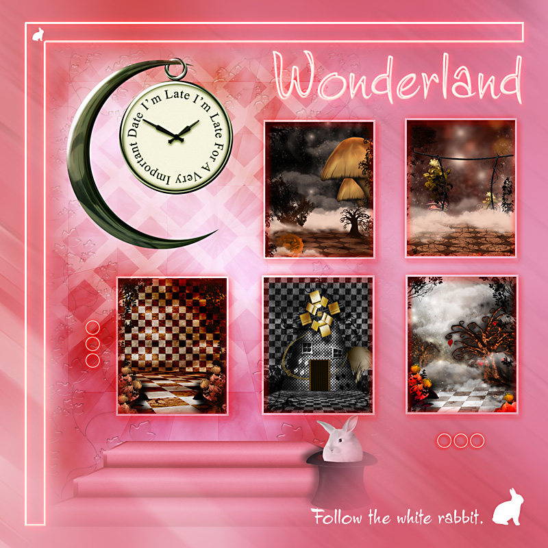 Wonderland by N/A