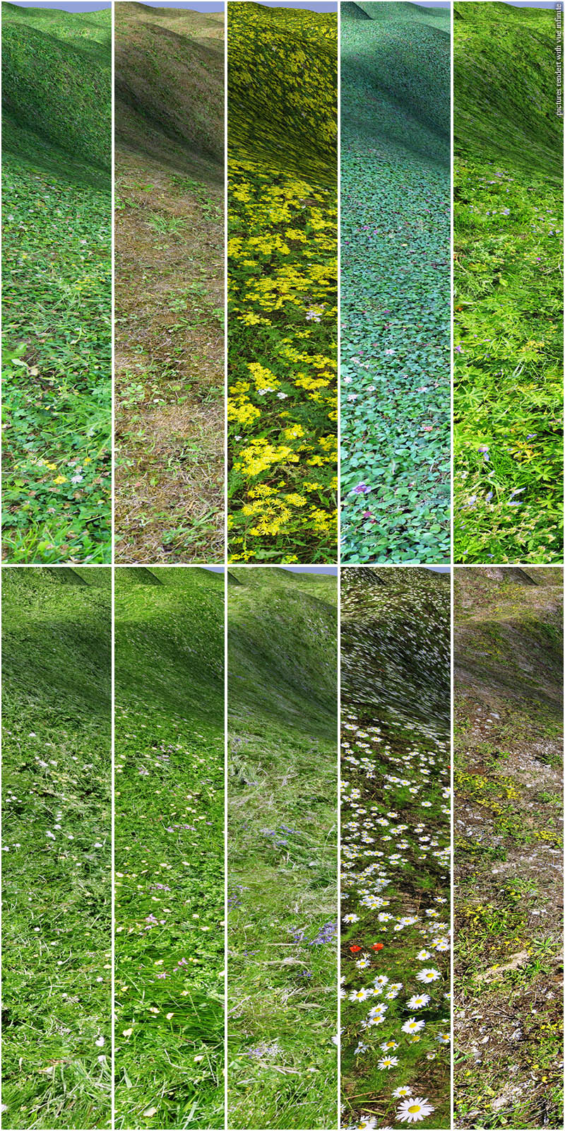 Flinks Summer Ground Textures by N/A