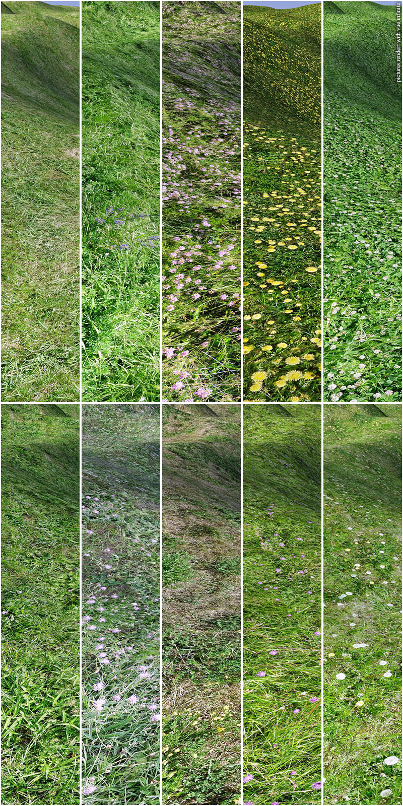 Flinks Summer Ground Textures by N/A