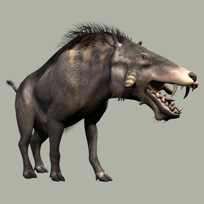 EntelodonDR by N/A