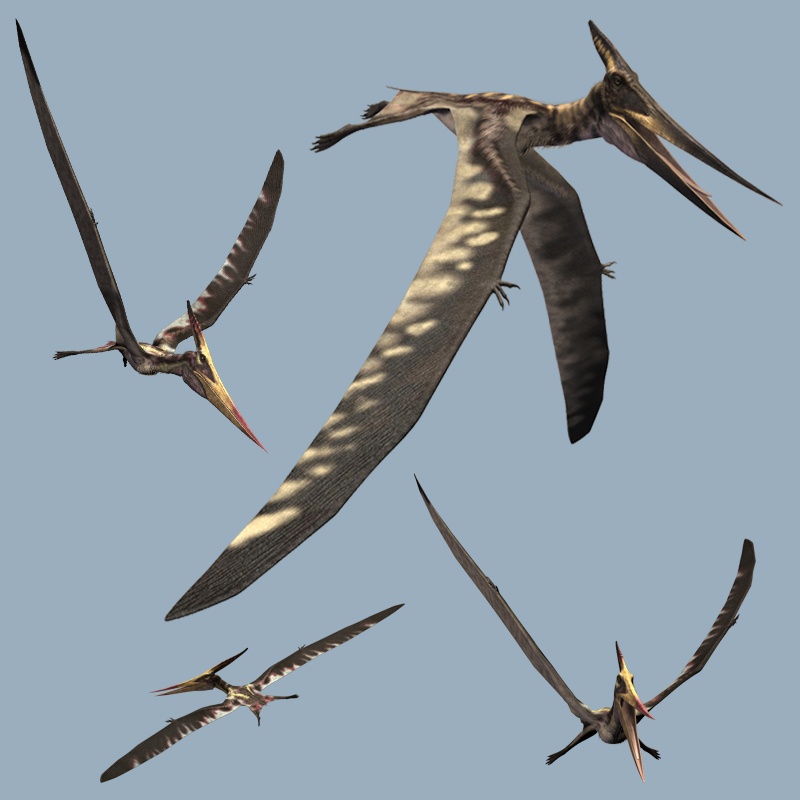 PteranodonLDR by N/A