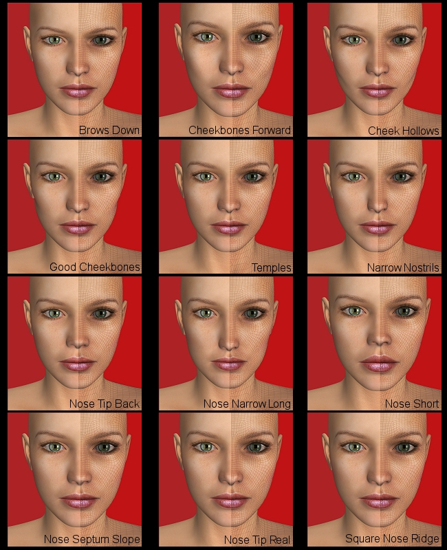 V4 Face Morph Kit 1 by N/A