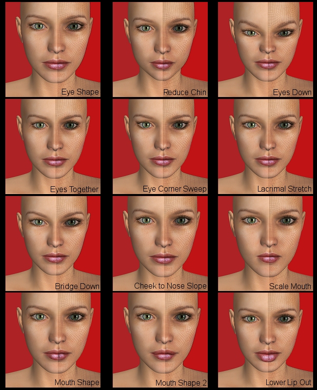V4 Face Morph Kit 1 by N/A
