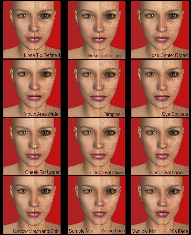 V4 Face Morph Kit 1 by N/A