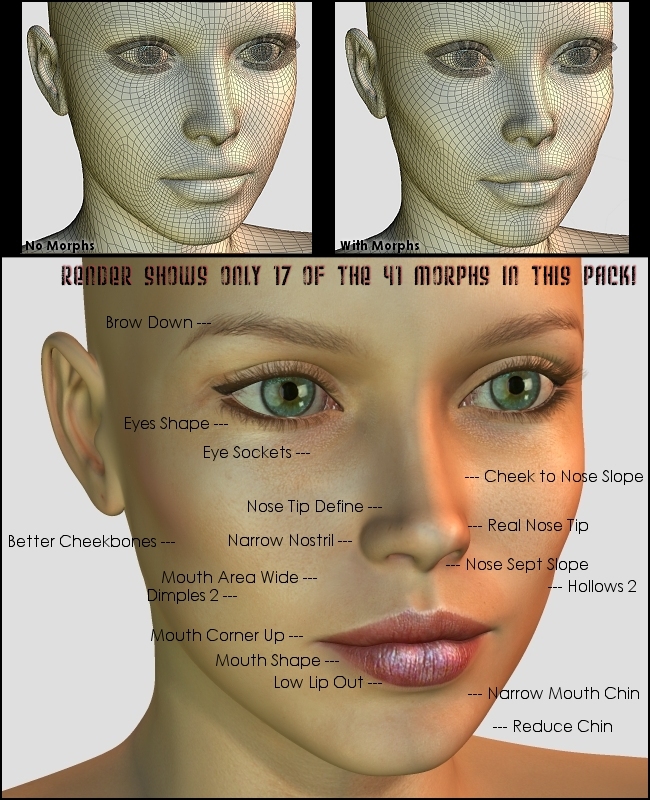 V4 Face Morph Kit 1 by N/A
