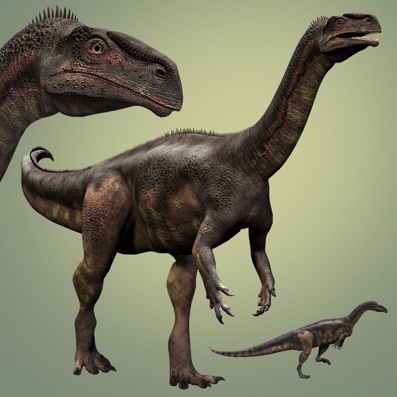 PlateosaurusDR by N/A