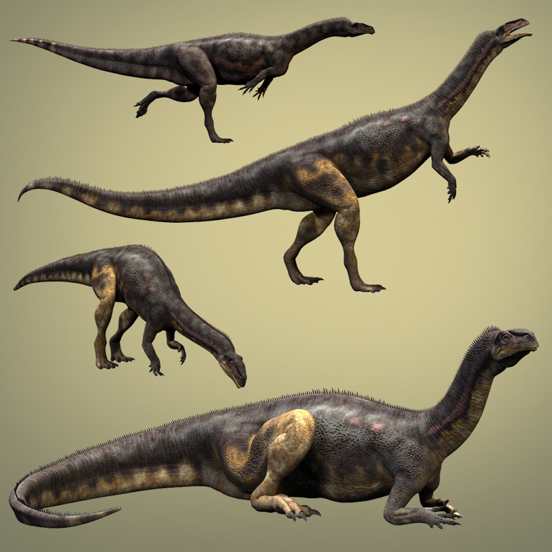 PlateosaurusDR by N/A
