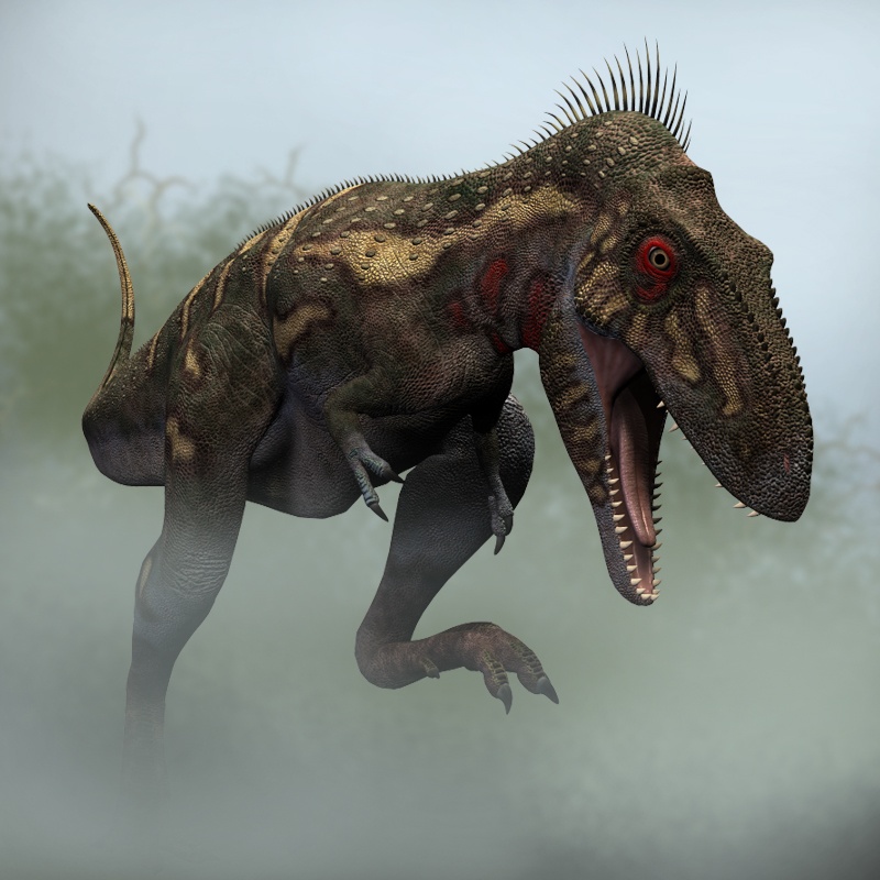 NanotyrannusDR by N/A
