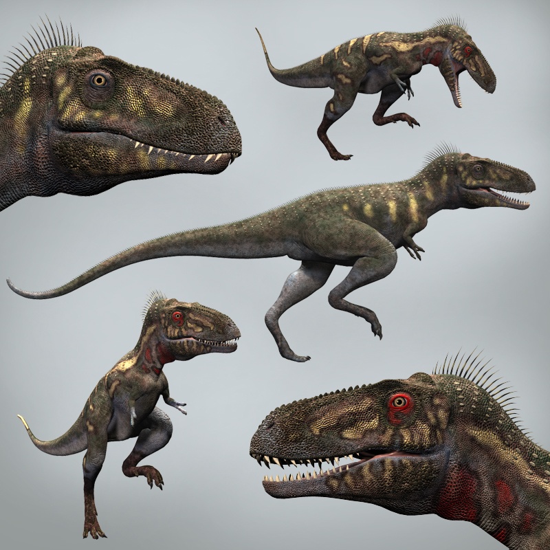 NanotyrannusDR by N/A