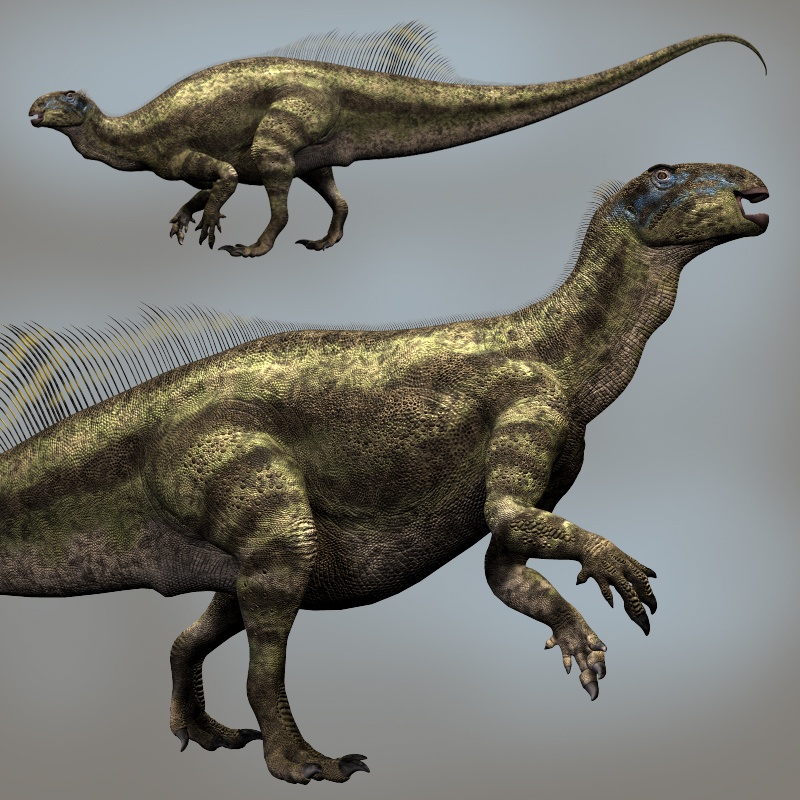 TenontosaurusDR by N/A