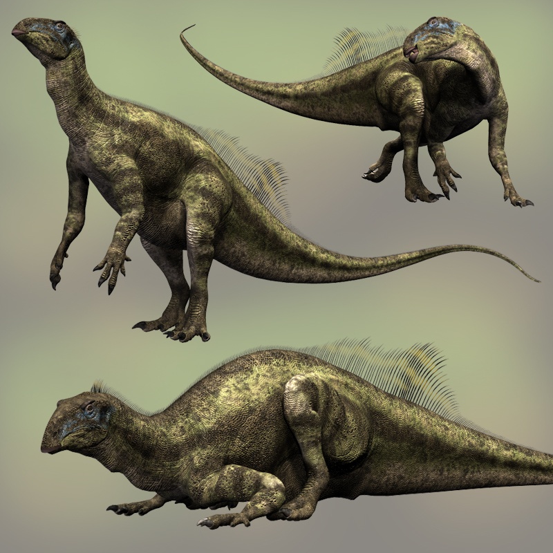 TenontosaurusDR by N/A