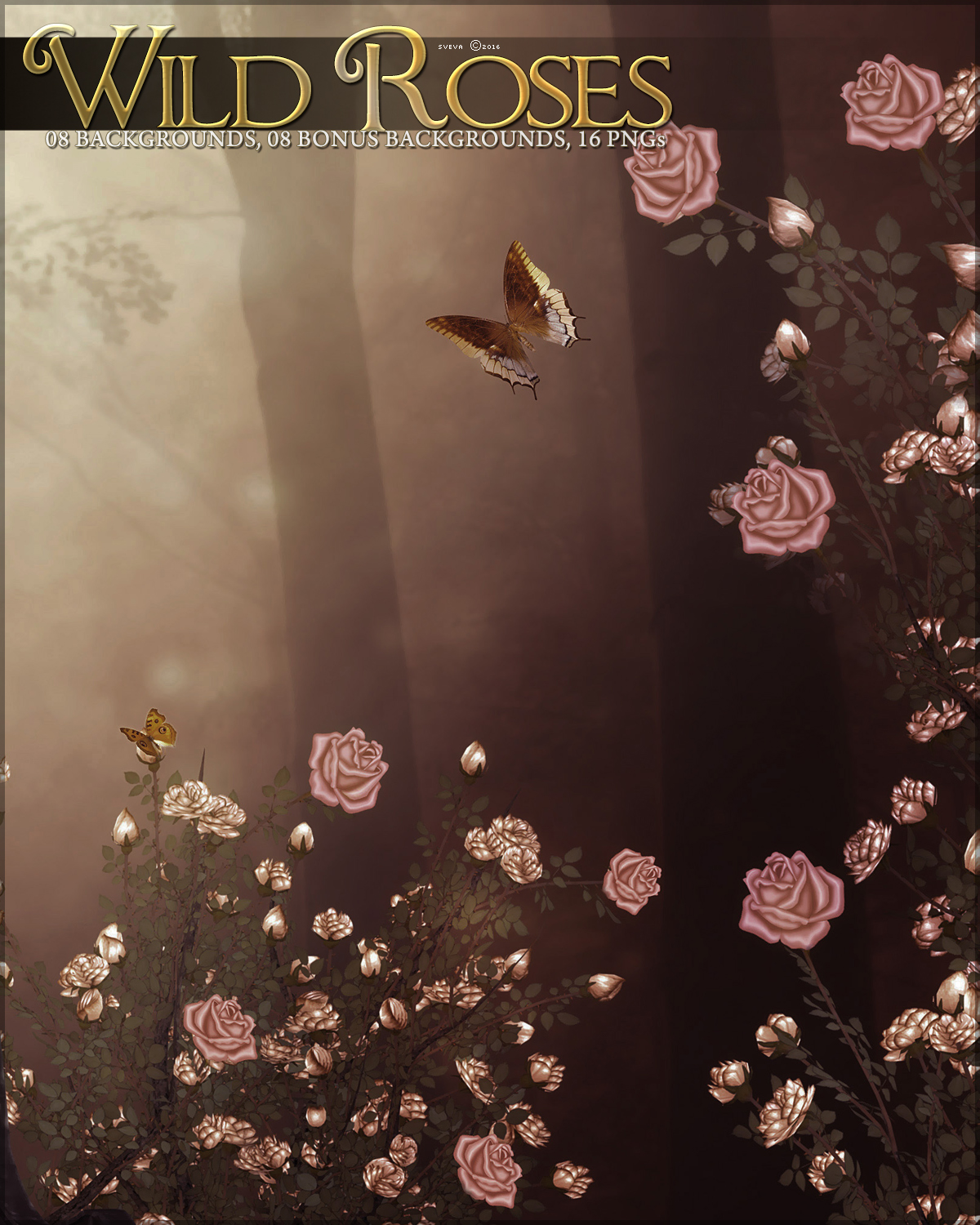 Wild Roses by N/A