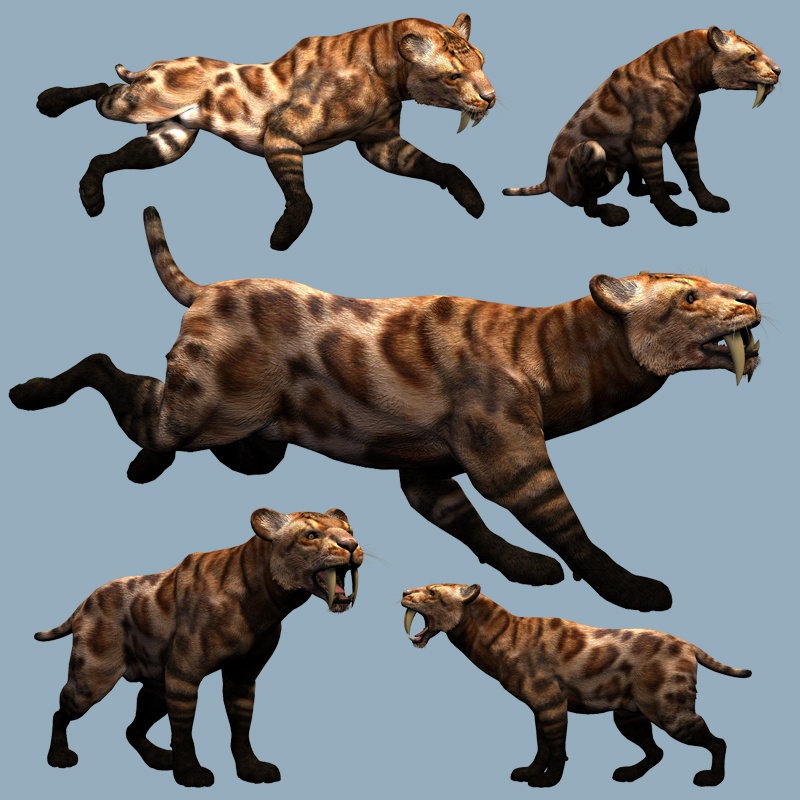 SmilodonDR by N/A